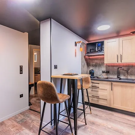 Loft Sous Les Colombages D'alsace / Sauna / Jacuzzi / Netflix / Wifi Apartamento *
